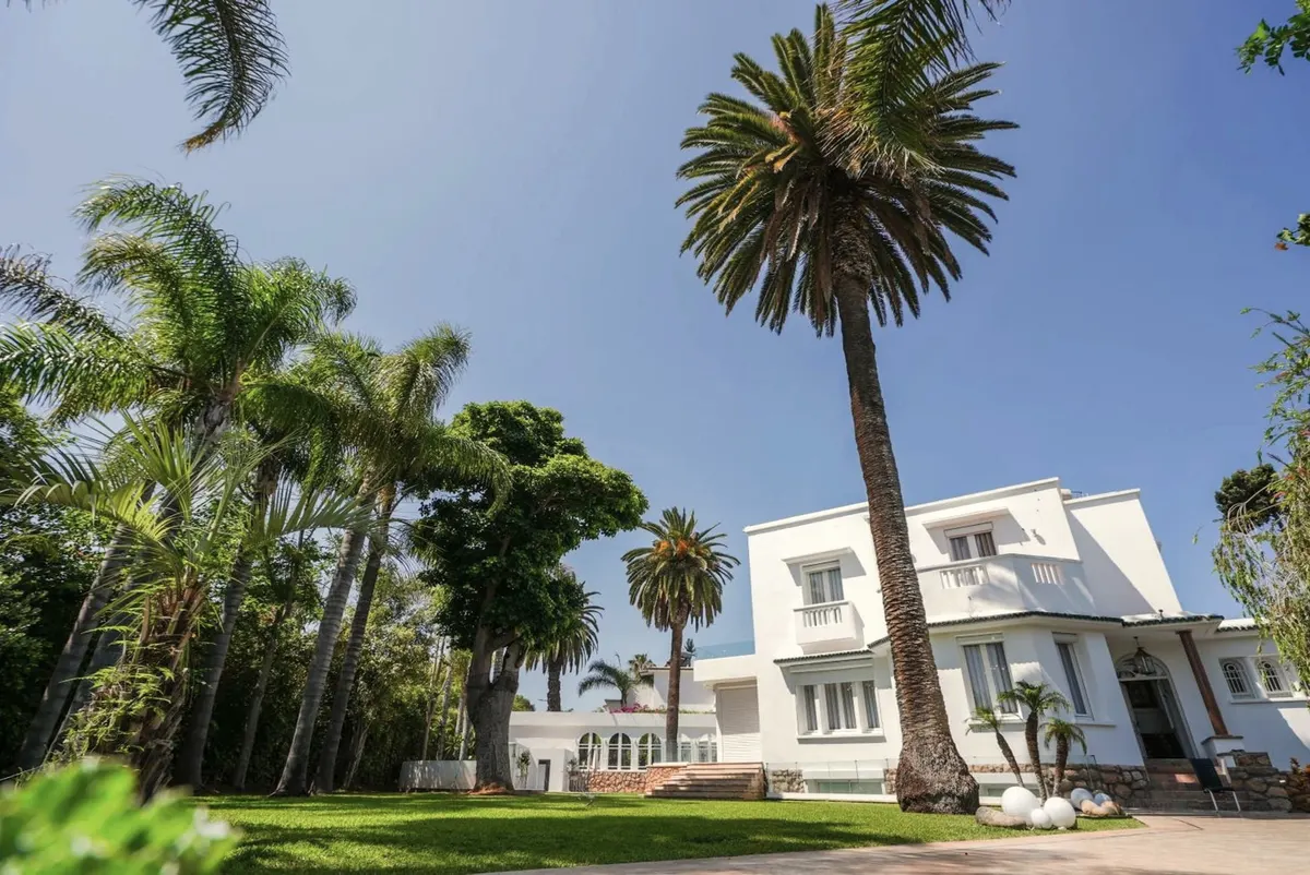 The villa from the lawn, under towering palms.